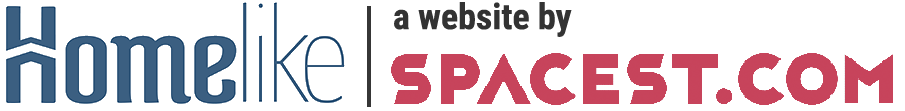 logo Spacest